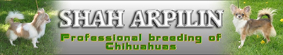 logo v3