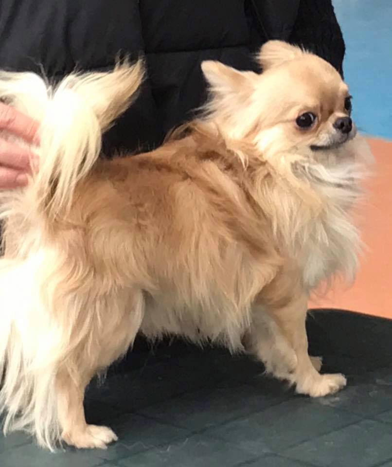 keki
